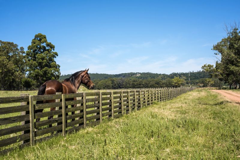 Equine Fence Installation in Pearland, TX